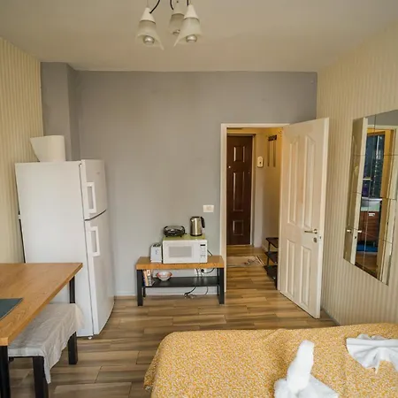 Cozy Studio On Regiei Boulevard